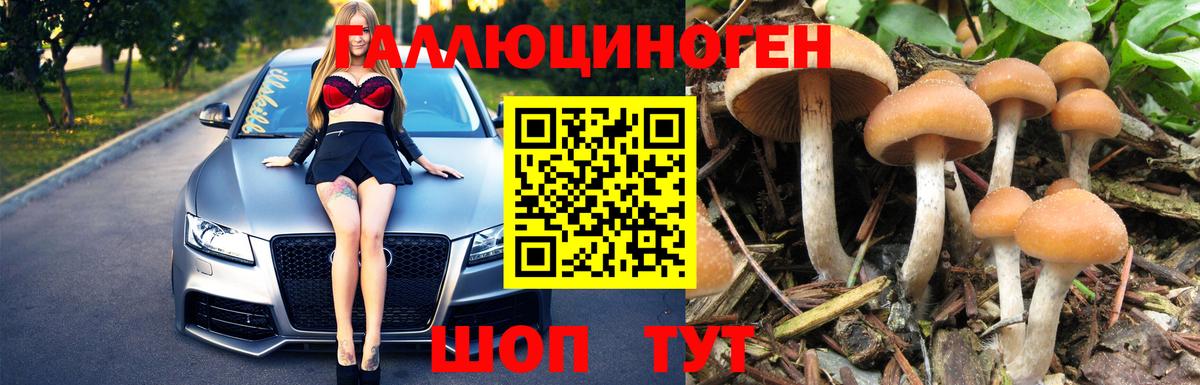 Галлюциногенные грибы MAGIC MUSHROOMS Мариинск