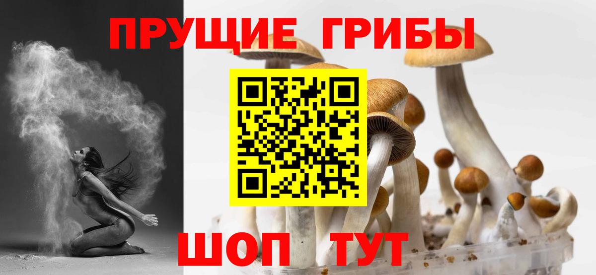 Галлюциногенные грибы ЛСД  как найти наркотики  Вход с VPN  Мариинск  Псилоцибиновые грибы Cubensis 